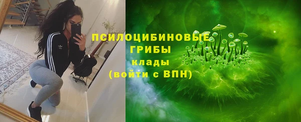2c-b Гатчина