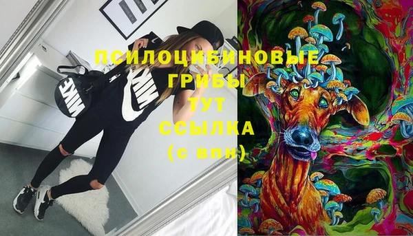 спиды Дмитров