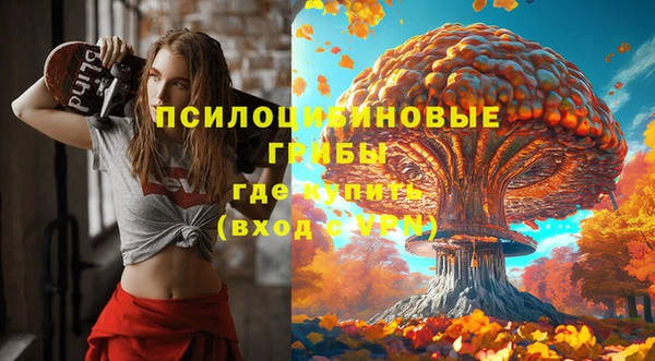 спиды Дмитров
