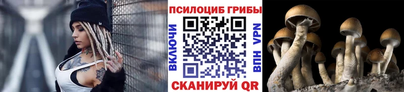 Галлюциногенные грибы Cubensis что такое Заинск