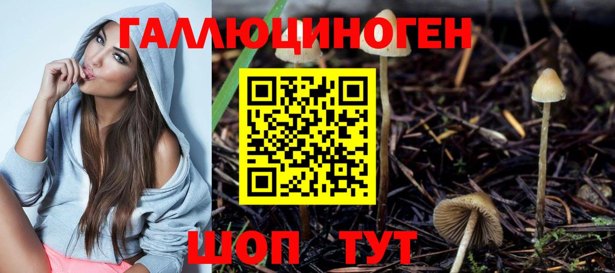 Псилоцибиновые грибы ЛСД  Вход с VPN  Псилоцибиновые грибы Cubensis  Заинск 
