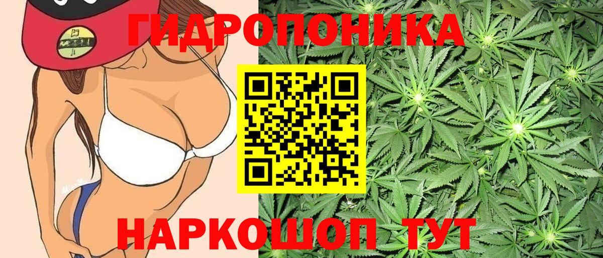Заинск  Каннабис индика  МАРИХУАНА семена  Вход с VPN  Бошки Шишки Bruce Banner 
